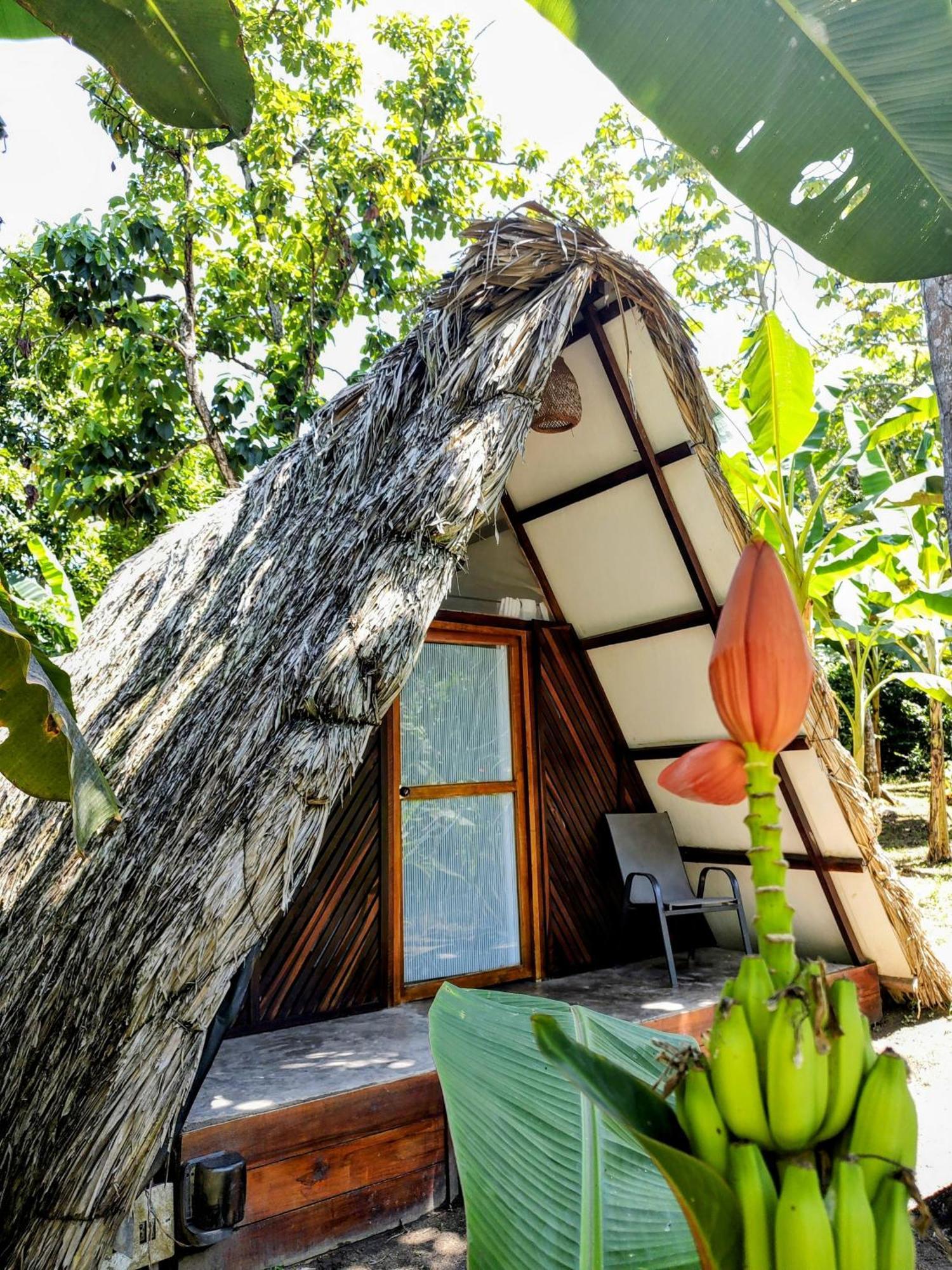 Hotel Jasayma Dentro Del Parque Tayrona El Zaino Exterior foto